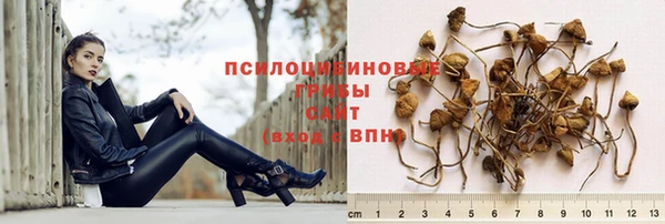 сатива Богородск
