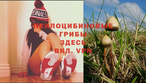 соль ск Белоозёрский