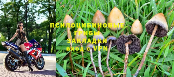 PSILOCYBIN Богородицк