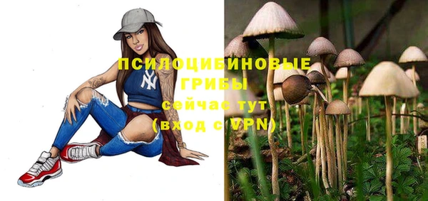 сатива Богородск