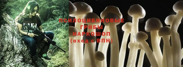 СК Богданович