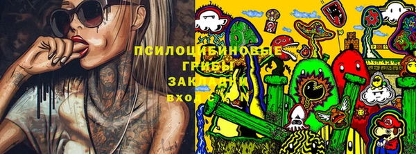 PSILOCYBIN Богородицк